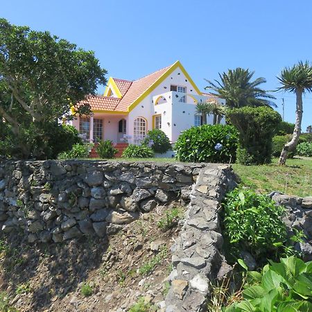 Villa Cedros Santa Cruz das Flores Zewnętrze zdjęcie