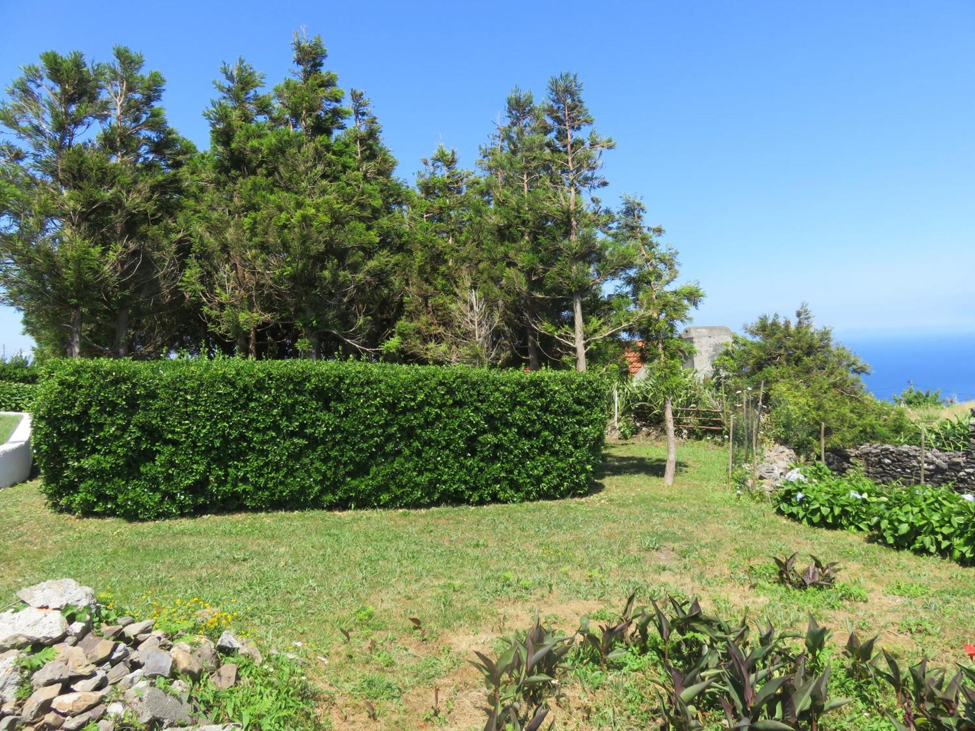 Villa Cedros Santa Cruz das Flores Zewnętrze zdjęcie